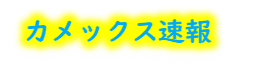 カメックス速報